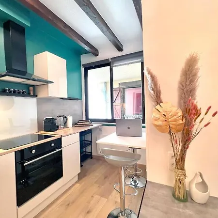Apartment Le Cocon De La Chaine Des Puys & Spa Terrasse