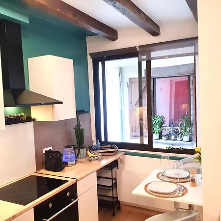 Le Cocon De La Chaine Des Puys & Spa Terrasse Apartman