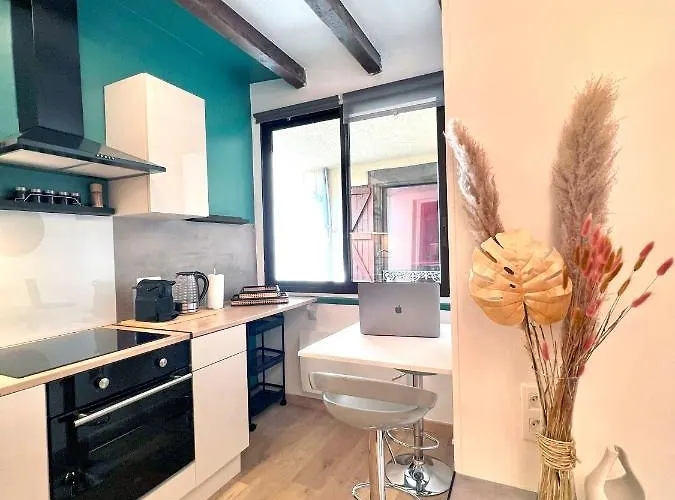 Apartamento Le Cocon De La Chaine Des Puys & Spa Terrasse